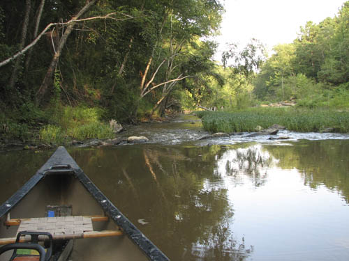 Picture of canoeing on Toro Bayou